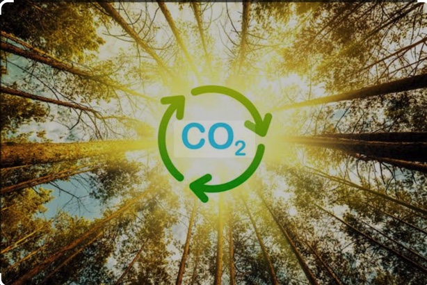 19BA19A1-EC70-4E47-A9CF-DAE5B63A4C82